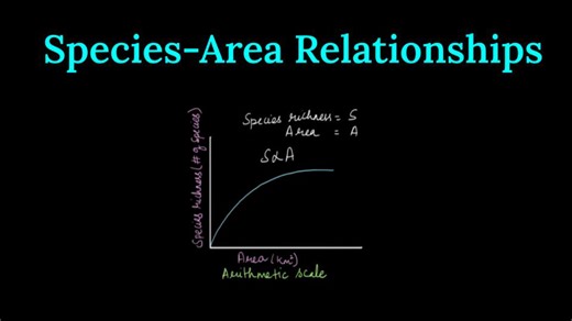 Species-Area Relationships