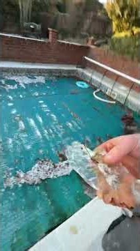 It’s so cold the covers frozen to the pool 🥶🥶 #satisfying