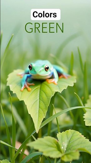 Learn colors with object 🔴🔵🟡🟢 | rainbow for kids | Nursery rhymes & kid song #shorts #cartoon #baby