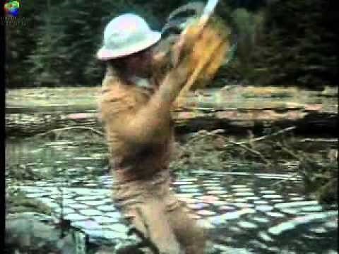 1971 SOMETIMES A GREAT NOTION trailer