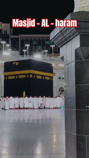 Agar tum na laroge toh karm kaun karega Agar tum na sunu ge toh mera kaun sune ga#shorts⚘️#ytshorts