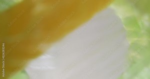 Person throws garbage from apartment into green bin. Adult cleans up room from trash and throws compressed plastic in can bottom view