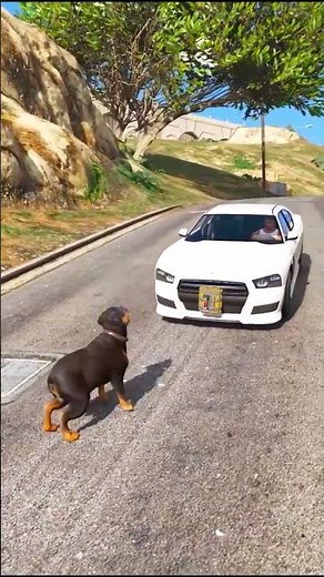 Chop Saved Franklin’s Life! 😱🐾 #GTAV #levelupmaster #gta #grandtheftauto5mods #viral #gaming #gtav