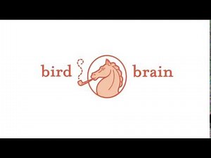 Bird Brain/MTV Production Development (2016)