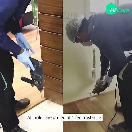 HiCare in, termites out! Book Termite Control Service