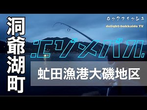 【虻田大磯漁港】洞爺湖町の漁港で釣り！ガヤ（エゾメバル）【新虻田漁港】