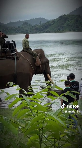 Cuối cùng bạn ý cũng đồng ý quay với mình #LearnOnTikTok #vietcomedy #trending #voidaklak #mummii #mefunjsc