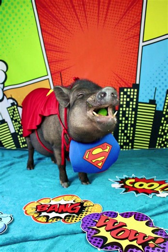 Super Chucky!!!