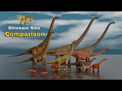 Dinosaur Size Comparison 3D Animation | Animal Size Comparison