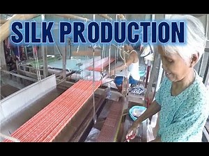 How To Make Silk and Spinning Process - Cambodian Traditional Production Cycle | Street View