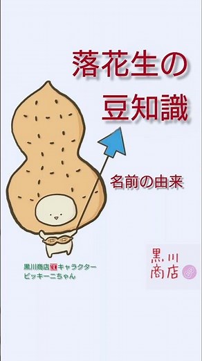 【No.56】落花生の名前の由来～落花生は土の中で実になります #落花生 #名前の由来