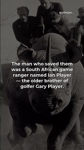 One South African saved the white rhino from extinction