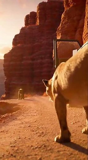 Journey of a Puma: Survival & Hope #Puma #Wildlife #Nature #Conservation