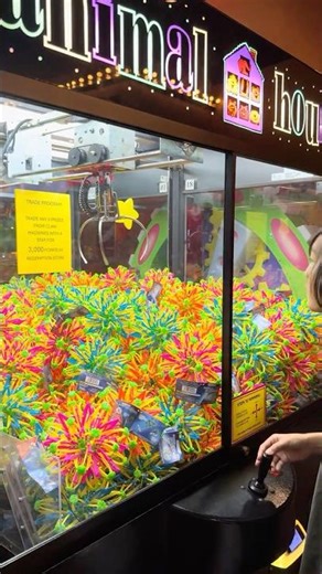 Playing animal home claw machine at circus circus