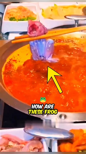 EMSRY Facts on Instagram: "Is This Food Still Alive? 😱 (Watch Until The End) How are these frog legs still dancing like they're alive? 😱🐸 It looks like a scene from a horror movie, but the truth is purely scientific! No, the frog isn't actually alive. The heat from the hot pot triggers the remaining nerves in the legs, sending "phantom signals" to the muscles. What you're seeing is basically a dead body moving on pure reflexes! 🧟‍♂️ Would you be brave enough to eat this? Let me know in the c
