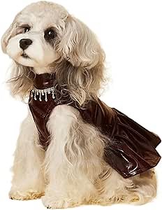 Amazon.com : HQREA Dog Leather Jacket-Luxury Cute Leather Dog Jackets Motorcycle Clothes Girl Designer Puppy Wedding Birthday Dress with Zipper & Necklace for Chihuahua, Yorkie M : Pet Supplies