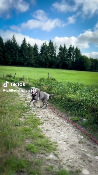 Aurélie Prouff sur TikTok