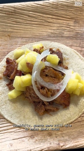 Tacos and Tequila at the Zoo!