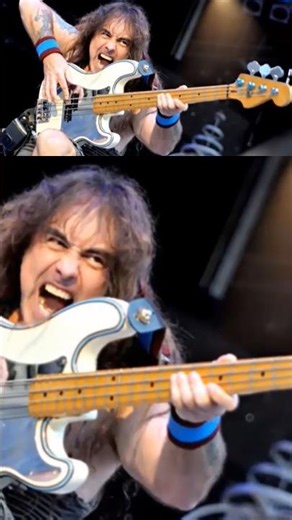 Fender Precision Bass: Features