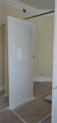 Door Spraying Transformation | Smooth Factory Finish | LG Painting & Renovation