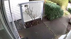 Wire-free means you can hide your HD Arlo cameras in plain sight! Shameful mail thieves won’t even realize they’ve been #CaughtOnArlo. Share your #CaughtOnArlo story: http://buff.ly/2ovlk0A Video Credit: Art | Netgear