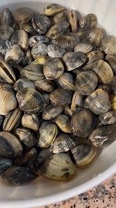 16K views · 81 reactions | Spurging clams is an essential step before cooking. By placing them in salted water for a few hours, they expel any sand or impurities, ensuring that your dish is clean and free from unwanted grit. It is a small effort that makes a big difference in the flavor and texture of your seafood! Don’t believe it? Watch it! | Cook & Eat Like An Italian | Facebook