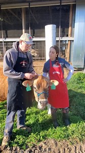 73K views · 710 reactions | ‍拏 On our third day on the farm with Farmer Katie, she and a guest teach us what cows eat and how their food is made. | American Dairy Association North East | Facebook