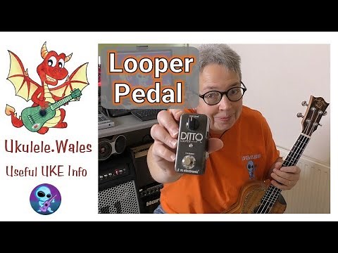 Looper Pedal Guide With Ukulele For Beginners - Ditto Loop Pedal