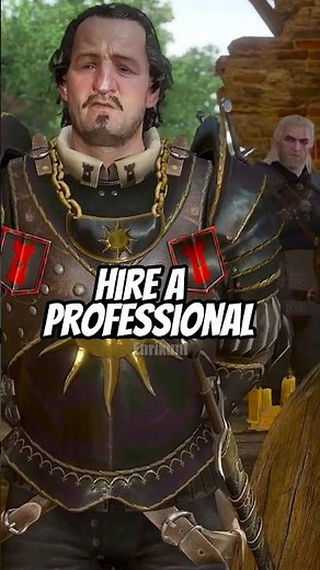 Hire A Professional - The Witcher 3