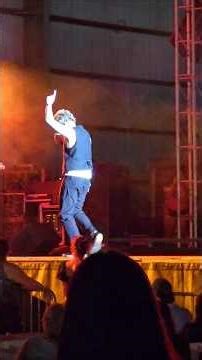 Sugar Ray covers Steal My Sunshine 🌞 #sugarray #coversong #concert #markmcgrath #1999 #len