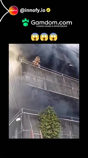 Innofy.io on Instagram: "The video captures a tense rescue in a Brazilian high-rise fire, showing a woman in shorts descending a vine-covered ladder from a smoke-choked balcony while initially holding her small dog, with firefighters assisting amid visible flames. Posted on 13 January 2026 by @0C0RV0 , a national conservative commentator, it has drawn 1.37 million views, 6,772 likes, and replies lauding the woman's steady grip and the team's coordination in averting disaster. This incident highl