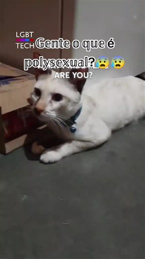 O que significa ser polysexual? Descubra agora!