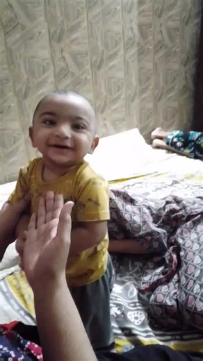 Noshi Oshi on TikTok