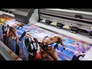 I3200 eco solvent printer with 2 heads