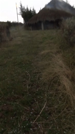 From the fields of Quito Loma - Cayambe | Walking Pachamamita