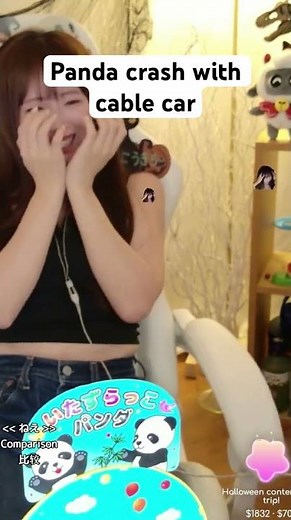 Panda crash with cable car #twitch #streamer #twitchstreamer