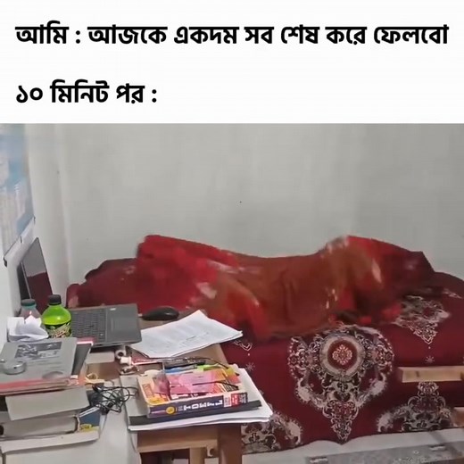 Good night 😌👍 | Memes From Another Universe