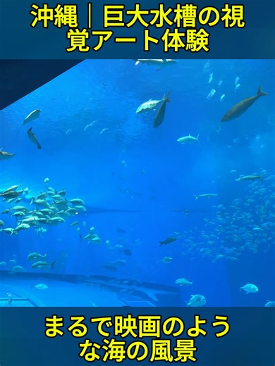 Okinawa - 沖縄 美ら海水族館 - 4K HDR (4/4) #沖縄 #美ら海水族館 #水族館 #ジンベイザメ #沖縄旅行 #fyp