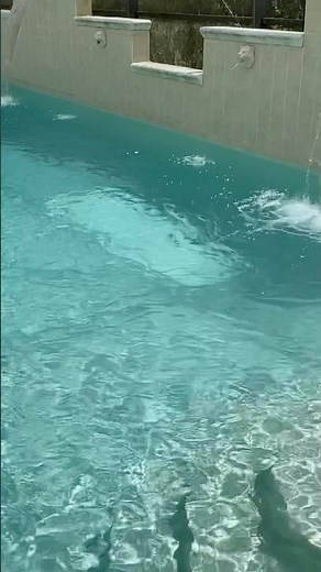 🍁OUTDOOR FALL CLEANING HACK! AMAZING TOOL For A SPOTLESS AUTUMN!