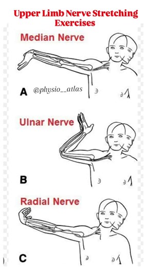 Dr. physio🎓 on Instagram: "Upper Limb Nerve Flossing:- Nerve flossing, also called nerve gliding or neural mobilization, is a therapeutic technique that helps improve the mobility of nerves by gently moving them through surrounding tissues. It is commonly used to reduce nerve irritation, relieve pain, and restore function in conditions involving nerve compression. . . . Follow for more such videos @physio__atlas . . . #physiotherapy #physio #rehab #nervepain #nerveinjuries #nerveflossing #nerve