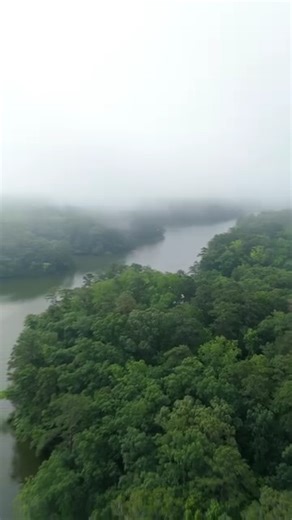 Quiet mornings, misty skies, and the beauty of Mariners’ Park on full display 😌🌳 | The Mariners' Museum and Park