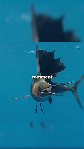 La conception d'une voiture ne se fait PAS au hasard... ☠️