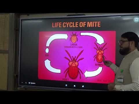 Lecture on Mites Video
