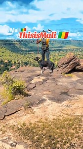 58K views · 4.3K reactions | This is MALI  La biodiversité du Mali est très riche, allant du désert du Sahara au nord aux forêts guinéennes au sud, et comprend une grande diversité d'écosystèmes, de plantes et d'animaux. #Travelmali #visitelemali #beautifulmali | This is MALI | Facebook