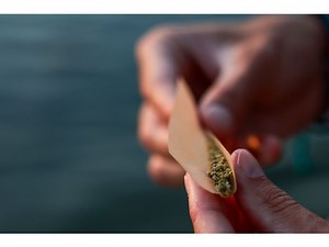 The Cannabis Industry Is Set to Grow -- So Is Its Environmental Impact