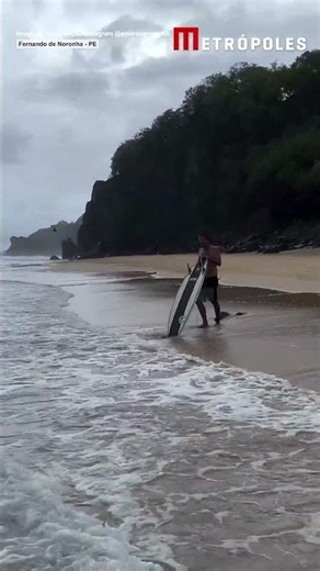 Praia com tubarões em Fernando de Noronha viraliza após ataques no PE