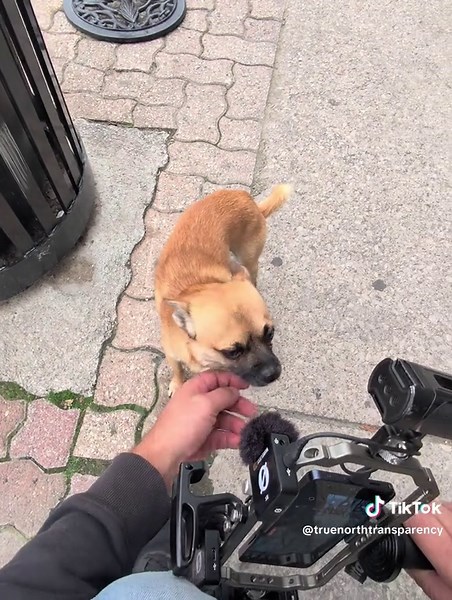 Filming in public: exercising the right to record reactions