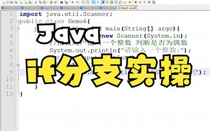 Java基础：程序分流控制-if分支实操案例