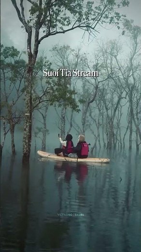 🌲✨ 10 Things You Must Do in Da Lat – Vietnam's Dreamy Mountain Escape 🇻🇳💚\n\nKnown as the City of