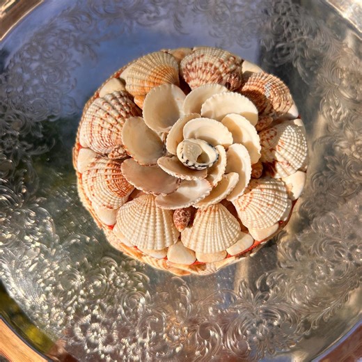 Vintage Seashell Trinket Box Coastal Shell Jewelry Box Beach Decor - Etsy